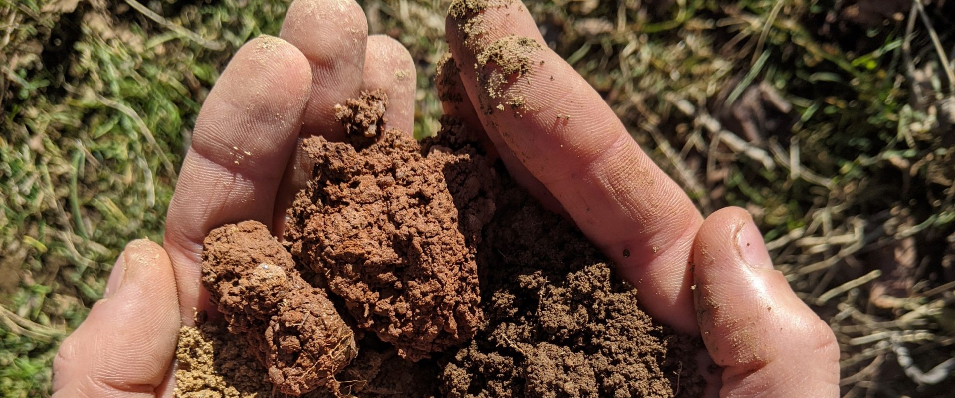 Tester La Fertilité Du Sol Un Aperçu Complet Des Tests De Ph 5910