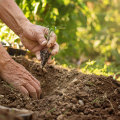 Aérer le sol à l'aide d'une fourche : un aperçu complet