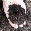 Comprendre les avantages de l'ajout de compost au sol
