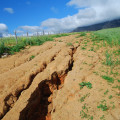 Comprendre l'érosion hydrique et son impact sur les sols