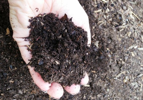 Comprendre les avantages de l'ajout de compost au sol