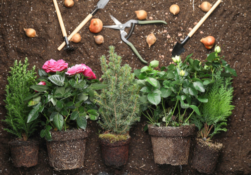 Services de livraison de terre végétale sèche : tout ce que vous devez savoir